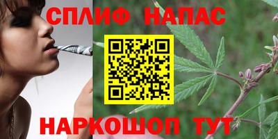 a pvp Краснодар