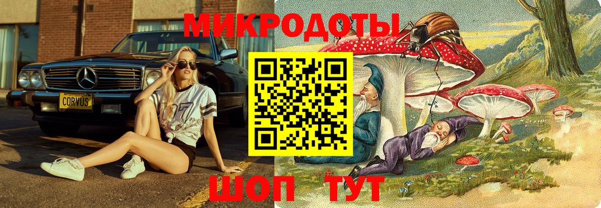 Псилоцибиновые грибы ЛСД Камышлов