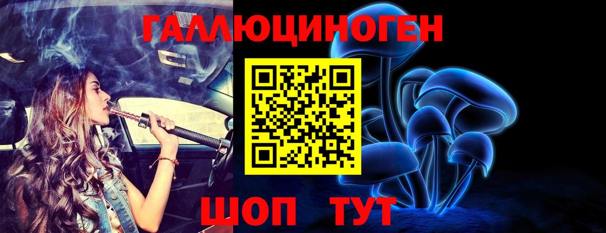 Камышлов  Галлюциногенные грибы MAGIC MUSHROOMS  Вход с VPN 